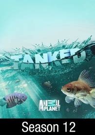 cartoonhd tanked|Tanked: Season 12 .